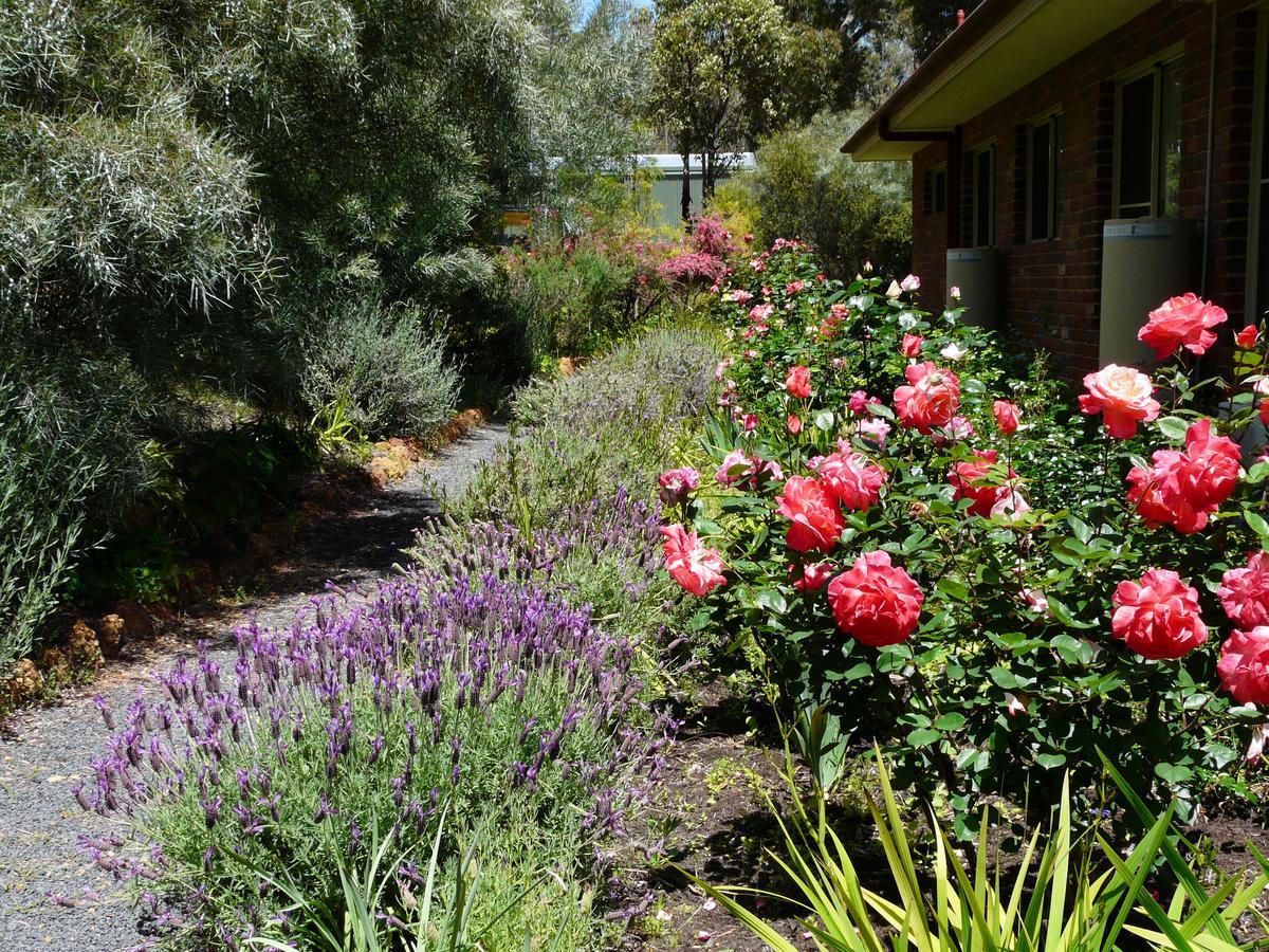 Country Charm Retreat B&B Donnybrook Buitenkant foto